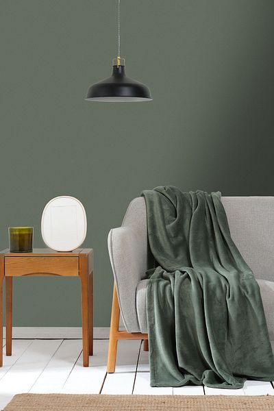 Karaca Home Fiona Khaki Welsoft TV Blanket