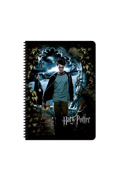 KESKİN COLOR Keskin Color Harry Potter Licensed Checkered Notebook