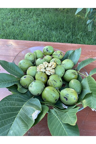 SULTAN CEVİZ BAHÇELERİ 7 Kg Dalından Yeşil Kabuklu Gönderim Taze Süt Ceviz