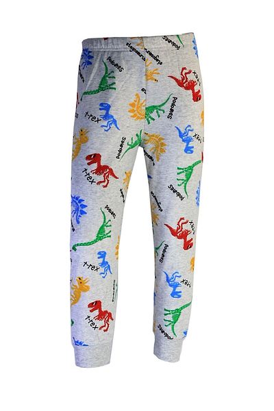 Çiggo Kids Digital Dinosaur Character Printed Pajama Set