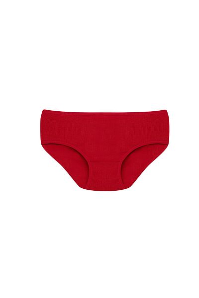 Ramior 5-Piece High Waist Soft Textured Ribbed Women's Panties Red, Plum, Black, Gray, Tan