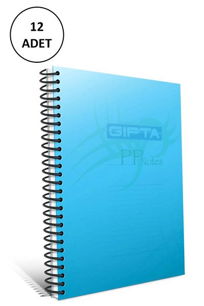 Gıpta Caiet A4 Spiral Copertă din plastic Eco Riglat 100 coli 12 buc
