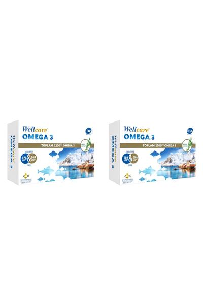 Wellcare أوميجا 3 زيت السمك 1200 ملجم 30 كبسولة 2 علبة
