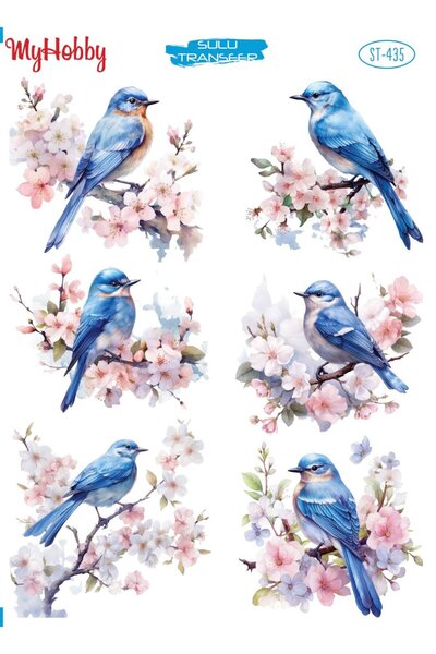 MyHobby Sulu Transfer Kağıdı St-435 25x35 Cm