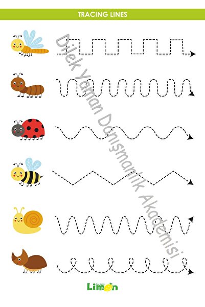 dilekyaman danışmanlık akademisi Okul Öncesi Aktivite, Eğitici Aktivite, Çizg...