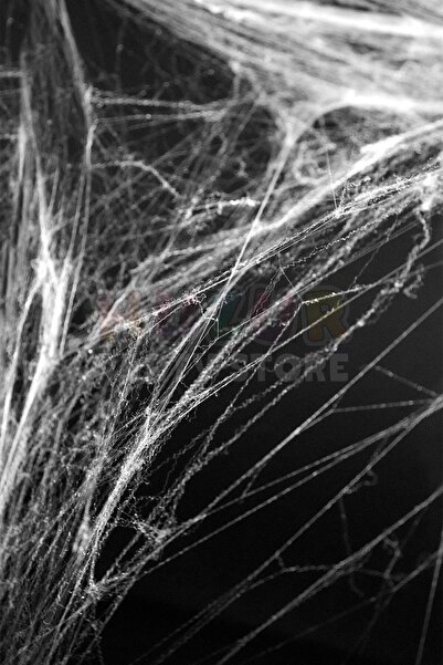 Huzur Party Store Beyaz Örümcek Ağı Ve Küçük Örümcek Seti Yapay 20 gr Halloween Cadılar Bayramı Partisi Ağ Dekor Süs