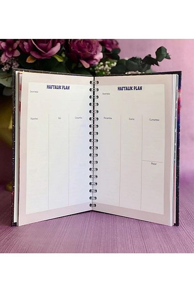NaSaDAN Talking Agenda με σχέδιο Cute Cats Cat