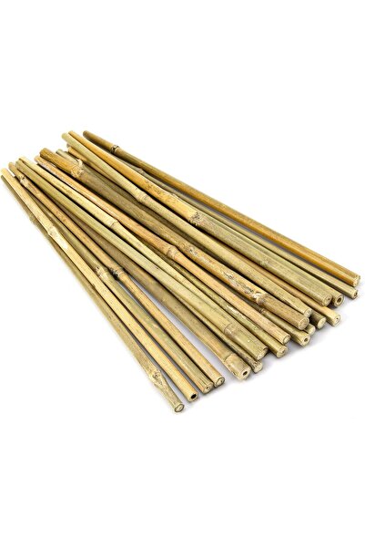 ANATOLİA BOTANİK Çok Amaçlı Bamboo çubuk 100cm 10 adet
