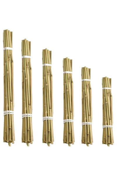 ANATOLİA BOTANİK Çok Amaçlı Bamboo çubuk 120cm 7 adet