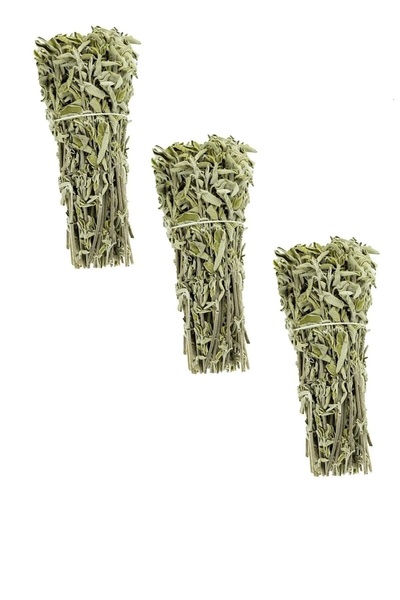 AKLIMDASIN Yeni Mahsül Adaçayı Demet (bağ) 3LÜ Çay-tütsü