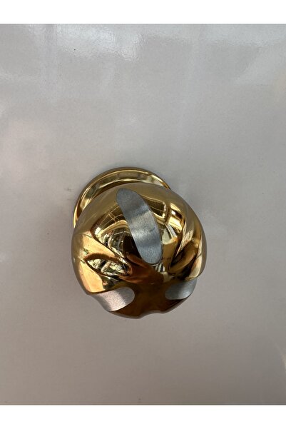 ERZURUMLUTEKNİK ÇELİK KAPI ÇEKME KOLU TOKMAK PİRİNÇ