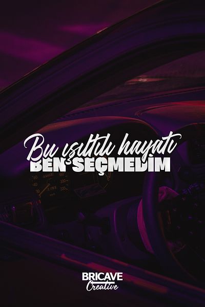 Bricave I Did Not Choose This Shiny Life Lettering JDM Car-Motorcycle Windshield Label Sticker 22x6,2cm
