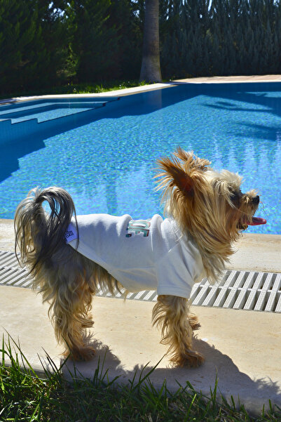 HappyDodo WOOF Baskılı Kedi Köpek Kıyafeti Elbisesi %100 Pamuk