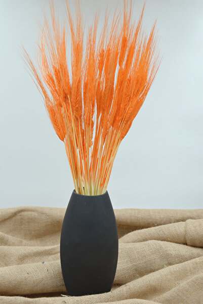 Dekora Çiçek Orz portocaliu șocat - Orz de grâu