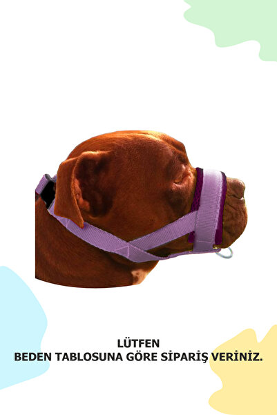 PET'S GO Köpek Ağızlığı LARGE Lila Büyük Irk