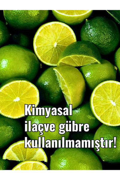 FidanBudur 3 Kg Limon, Zehirsiz Üretim, Dalından Taze