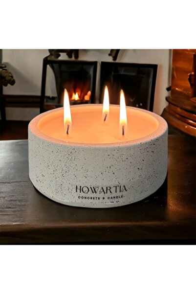 howartia store Kokulu Beton Saksılı Dekoratif Soya Mum