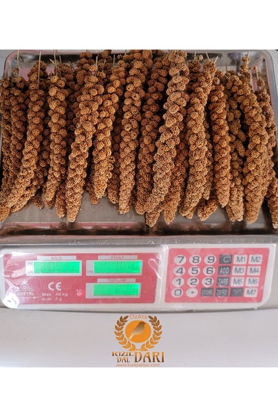 özata kızıl dal darı Üreticiler Için Kampanya 3kg Kızıl Dal Darı Yerli Üretim