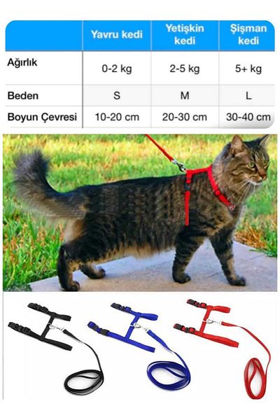 hebmeyy Cat Chest and Waist Collar, Adjustable Chest Collar and Leash Set of 2