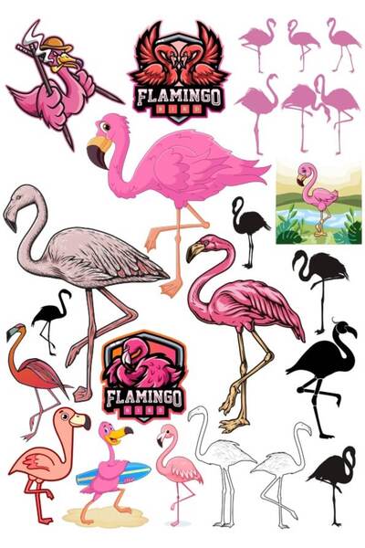 Reysa Tasarım مجموعة ملصقات فلامينجو مكونة من 15 قطعة للهاتف والكمبيوتر اللوح...