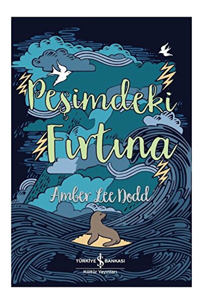 TÜRKİYE İŞ BANKASI KÜLTÜR YAYINLARI Peşimdeki Fırtına Amber Lee Dodd