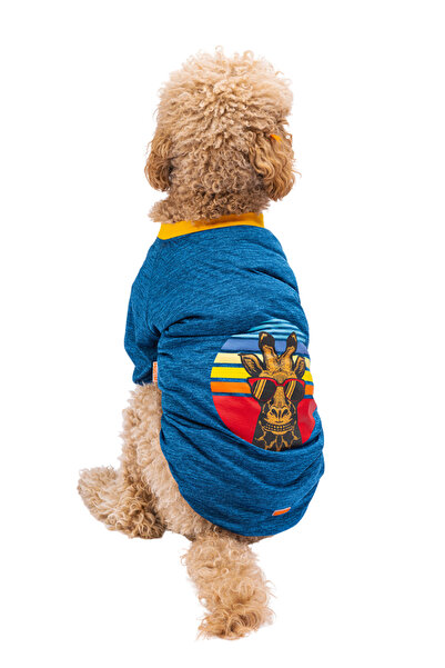 Pawstar Orta ve Büyük Irk Köpek Sweat/Kıyafet