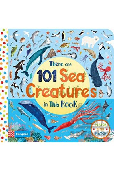 Campbell There Are 101 Sea Creatures in This Book / Collective / Pan Macmillan /9781529010367