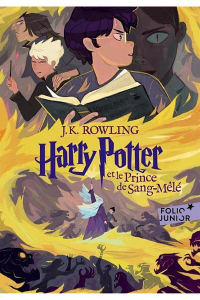 Gallimard Jeunesse هاري بوتر تومي 6