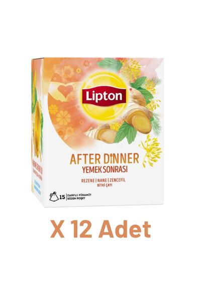 Lipton After Dinner - Yemek Sonrası Bardak Poşet Bitki Çayı 15li X 12 Adet