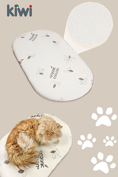 Kiwi High Density Organic Cotton Textured Cat & Dog Bed, Cushion, Mat 70x50 cm