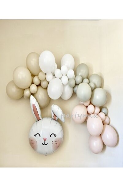 party mix Rabbit Birthday Concept Balloon Set Rabbit Foil Balloon and 30 Ball...