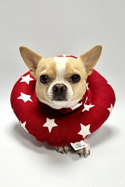 Riobongo |   طوق القطط والكلاب |   إليزابيث ياكال |   واقي |   قابل للغسل |  ...