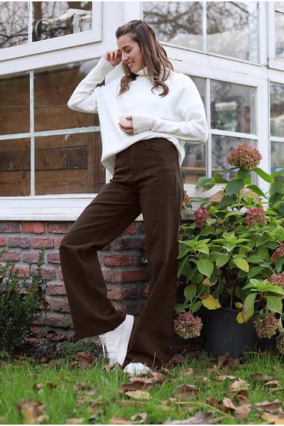SHEVEGA Καφέ ψηλόμεσο Boyfriend Wide Leg Jean Φαρδύ τζιν παντελόνι