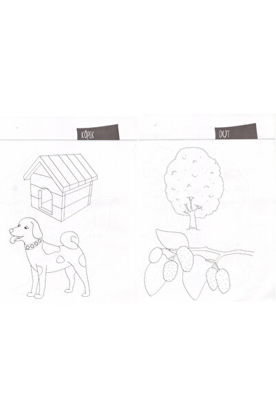 Bıcırık Yayınları Küçük Kaşifin Boyama Kitabı Seti ( 12 Kitap )