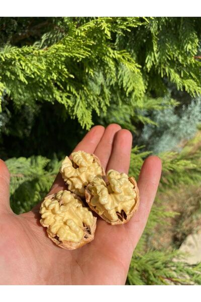 SULTAN CEVİZ BAHÇELERİ 10 KG CEVİZ İNCE KABUKLU CHANDLER CİNSİ YERLİ ÜRETİM YENİ HASAT