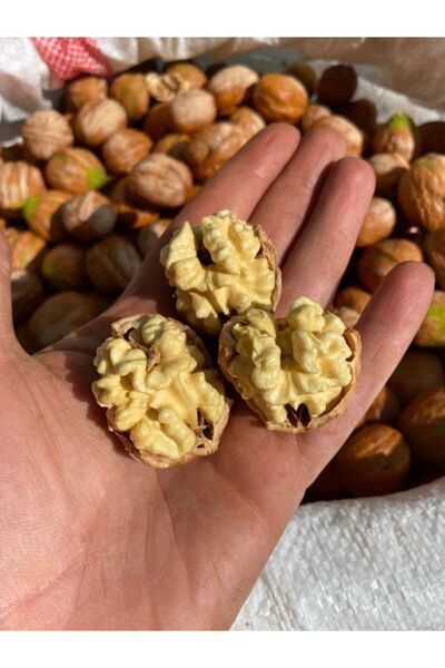 SULTAN CEVİZ BAHÇELERİ 10 KG CEVİZ İNCE KABUKLU CHANDLER CİNSİ YERLİ ÜRETİM YENİ HASAT