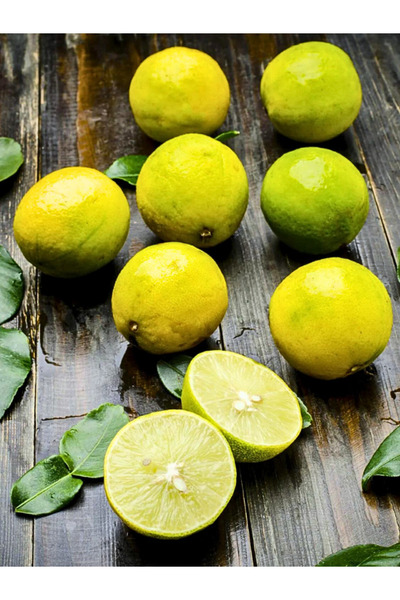 FidanBudur 3 Kg Limon, Zehirsiz Üretim, Dalından Taze