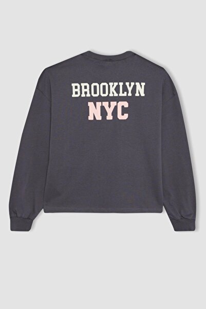 DeFacto Girls' Crew Neck Printed Long Sleeve T-shirt A7430a823au