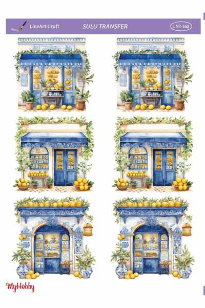 LİNEART Lineart Sulu Transfer LNT162 25x35cm
