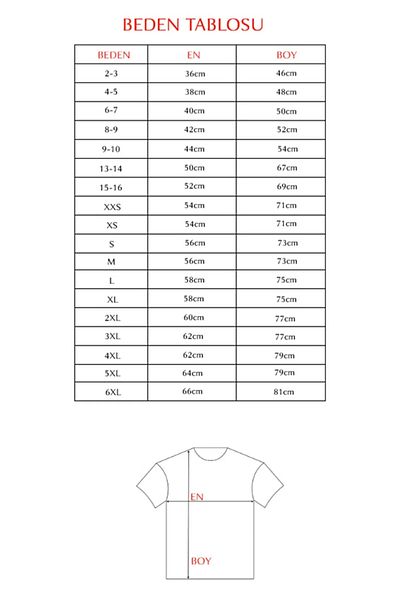 AY MONTANA Aymontana Red Unisex the End Printed Shorts and T-Shirt Set