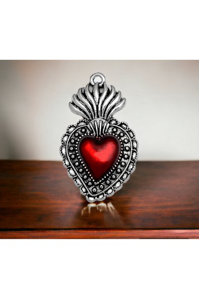 Shopiolog Gotik Kalp Charms Corazon Kanatlı Kolye 925 Ayar Gümüş Kaplama Doğum Günü Parti Yldönümü Hediye