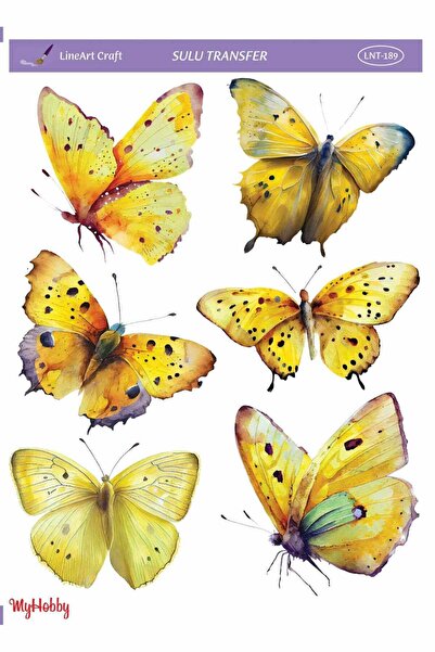 LİNEART Lnt189 25X35Cm Lineart Water Transfer