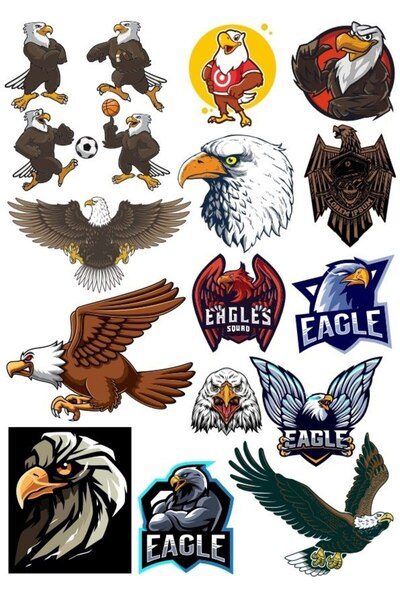 Reysa Tasarım مجموعة ملصقات Eagle Eagle - 13 مكونة من 16 قطعة للهاتف والكمبيو...