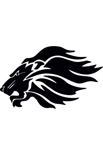 Birim Matbaa ASLAN ARABA STİCKER ( 27X16 CM)