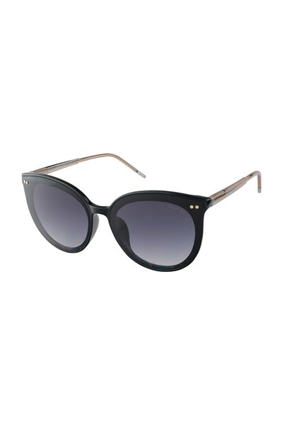 Despada Ds 1881 C1 Model Sunglasses