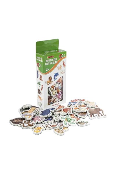 Diytoy Diy Toy Manyetik Hayvanlar