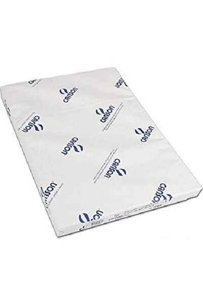 Canson 1557 Dessin Ja White Painting/Drawing Paper 200 gr. 50x70 cm. Pack of 125