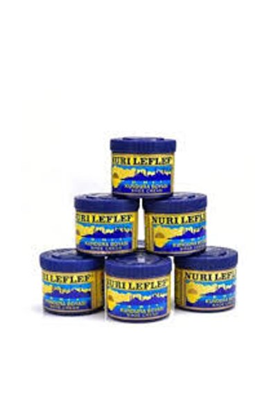 WELLY Nuri Leflef Şeffaf Deri Besleyici Ayakkabı Boyası 1 Adet