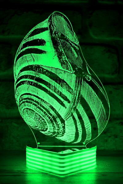 Hediye Kovanı مصباح الحلزون ثلاثي الأبعاد