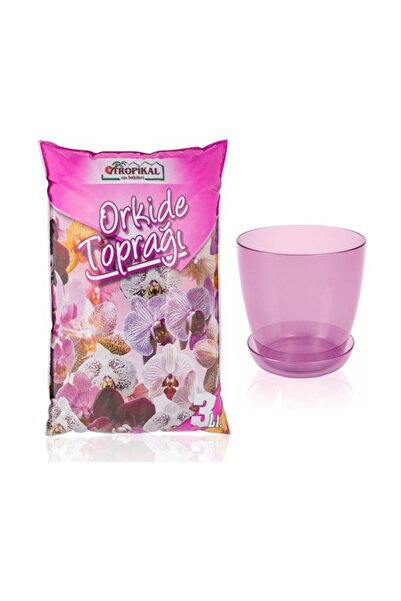 TROPİKAL Orkide Toprağı (3LT) Şeffaf Mor Orkide Saksısı (1,5 LT) Orkide Topra...